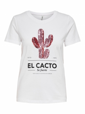 - Cactus