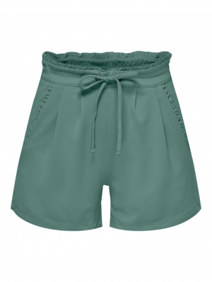 JDYNEW CATIA SHORTS JRS NOOS 188898 North At