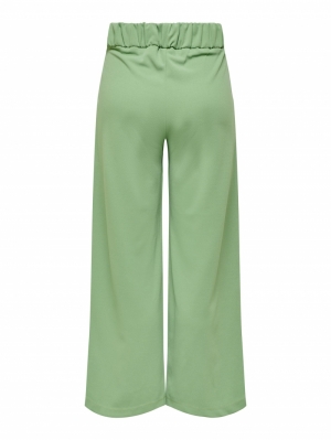 JDYGEGGO NEW LONG PANT JRS NOO 180053 Basil