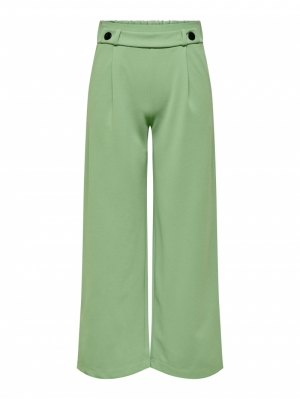 JDYGEGGO NEW LONG PANT JRS NOO 180053 Basil