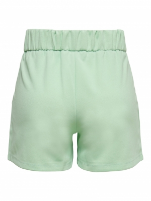 JDYGEGGO SHORTS JRS NOOS 281302001 Birds