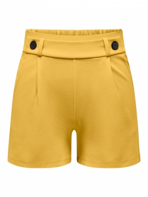 JDYGEGGO SHORTS JRS NOOS 187141001 Miner