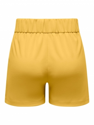 JDYGEGGO SHORTS JRS NOOS 187141001 Miner