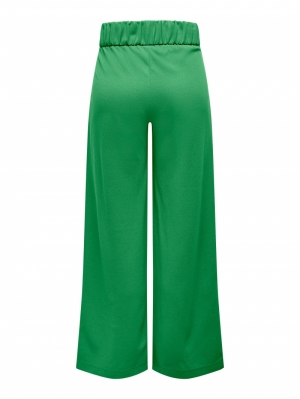 JDYGEGGO NEW LONG PANT JRS NOOS 224016001 Kelly