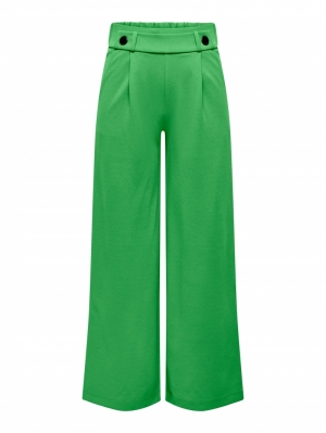 JDYGEGGO NEW LONG PANT JRS NOOS 224016001 Kelly