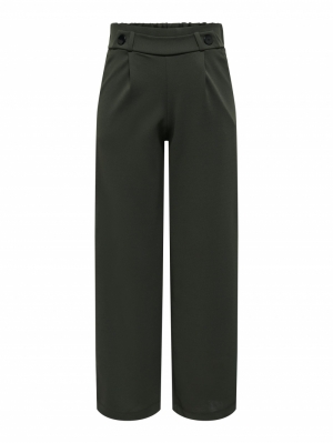 JDYGEGGO NEW LONG PANT JRS NOOS 186898001 Peat/