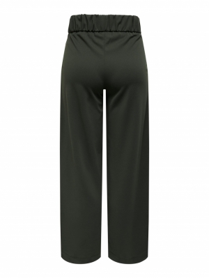 JDYGEGGO NEW LONG PANT JRS NOOS 186898001 Peat/