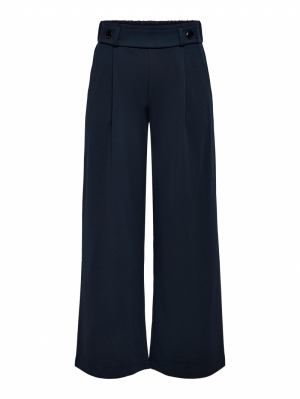 JDYGEGGO NEW LONG PANT JRS NOOS 206410001 Sky C