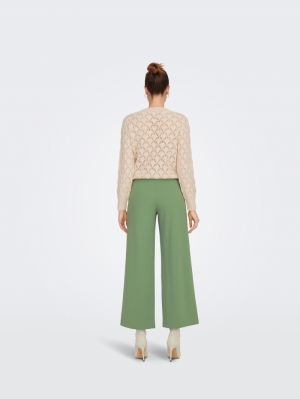 JDYGEGGO NEW LONG PANT JRS NOOS 180053001 Basil