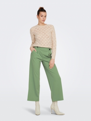 JDYGEGGO NEW LONG PANT JRS NOOS 180053001 Basil