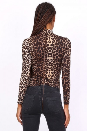  Leopard