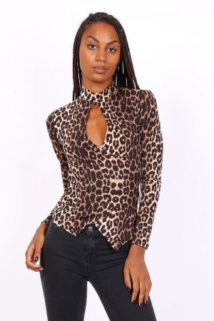  Leopard